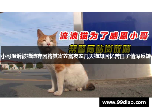 小哥泪诉被猫遗弃因将其寄养富友家几天猫却回忆苦日子情深反转